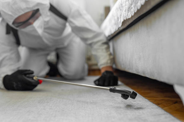 Professional Ant Control technician working in St. Augustine Beach, FL