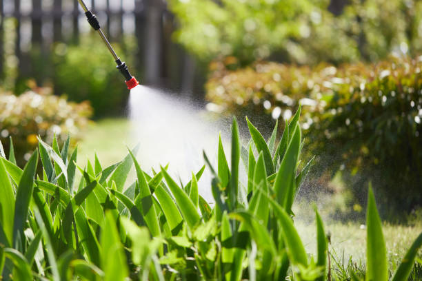 24/7 Emergency Ant Control experts in St. Augustine Beach, FL
