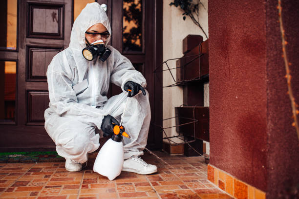 Reliable Ant Control contractor in St. Augustine Beach, FL by Nex Pest Control
