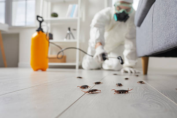 Trusted Fumigation Services service in St. Augustine Beach, FL - Nex Pest Control