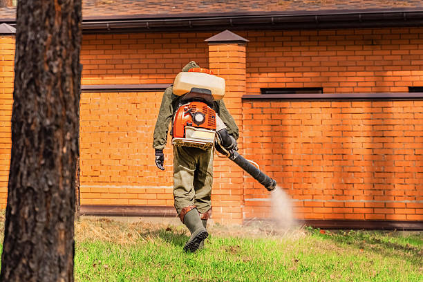 Trusted Termite Control service in St. Augustine Beach, FL - Nex Pest Control